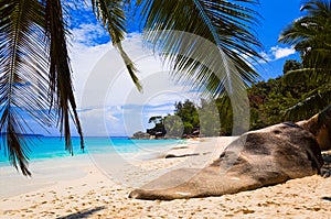 Tropical beach at island Praslin, Seychelles photo