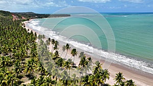 Tropical Beach At Japaratinga In Alagoas Brazil. Tourism Landscape. photo