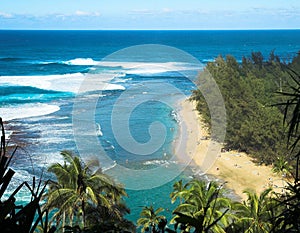 Tropical Beach in Kauai, Hawaii