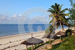 Tropical beach in Kenya