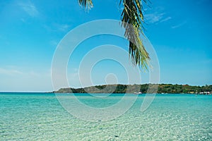 Tropical beach at Koh Kood, Thailand. turquoise sea water, ocean wave, yellow sand, green palms, sun blue sky, white clouds,