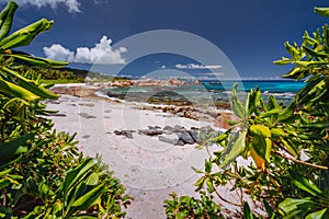 Tropical beach at La Digue island, Seychelles. Lush green vegetation on white sand paradise beach. Turquoise blue lagoon