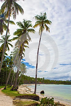 Tropical beach ladscape