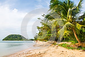 Tropical beach Laem Yai with palms, Koh Samui Island, Thailand