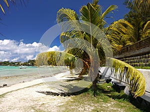 Tropical beach and lagoon, Mauritius Island