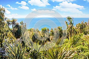 Tropical beach lagoon with palm trees