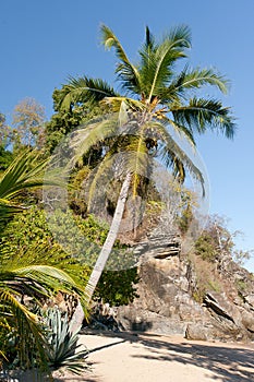 Tropical beach landscape