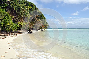 Tropical beach landscape