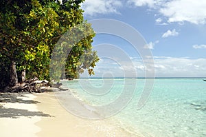 Tropical beach landscape