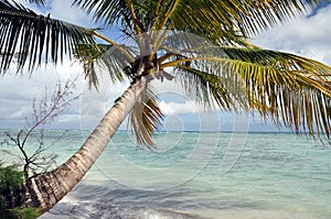 Tropical beach landscape