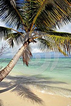 Tropical beach landscape