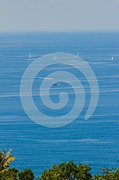 Tropical beach landscape panorama. Beautiful turquoise ocean waives with boats and sandy coastline from high view point. Kata and