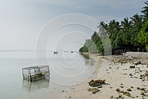 Tropical beach at the local island Fenfushi
