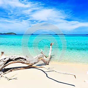 Tropical beach Malcapuya photo