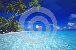 Tropický pláž maldivy 