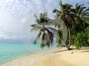 Tropical beach on the Maldives