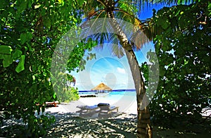 Tropical beach maldives photo