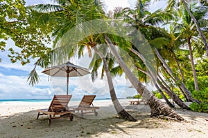 Tropical beach nature as summer landscape with lounge chairs and palm trees and calm sea for beach banner