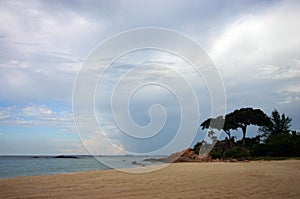 Tropical beach nature landscape view