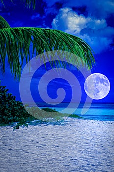 Tropical beach at night with a full moon
