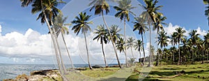 Tropical Beach and Ocean island setting in Samana, Dominican Republic. photo