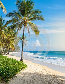 Tropical beach, ocean shore, palms, blue sea, vacation concept