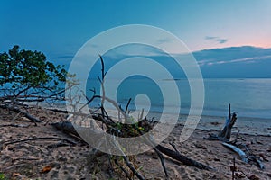 Tropical beach with old wood snag at sunset