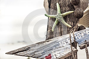 Tropical beach with old wooden sign on palm tree and sea view as traveling background with copy space