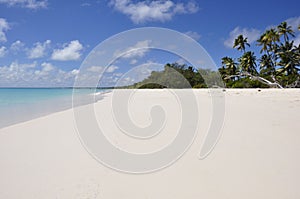 Tropical Beach in Ouvea Island, New Caledonia photo