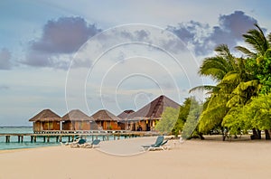 Tropical Beach with Overwater Bungalows and Palm Trees