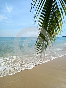 Tropical beach with palm leaf and ocean wave as background.