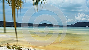 Tropical beach with palm leaves on the sky.