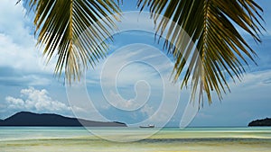 Tropical beach with palm leaves on the sky.