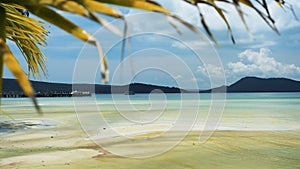 Tropical beach with palm leaves on the sky.