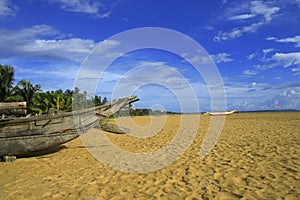 Tropical beach with palm tree