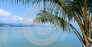 Tropical beach with palm tree and blue sky as background. Koh Samui, Thailand.