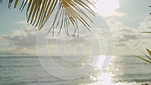 Tropical beach with palm tree leaf against blurry ocean and abstract shiny bright bokeh on ocean water surface