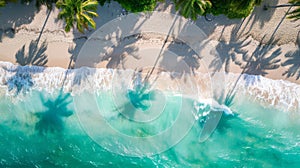 Tropical beach with palm trees. Aerial drone view, view from above