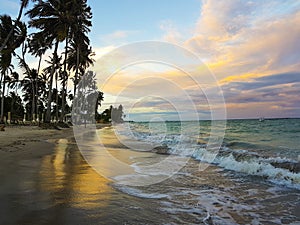 Tropical beach and palm trees al sunset