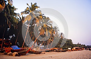 Goa India photo