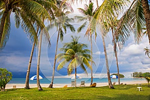 Tropical beach with palm trees, dramatic sky