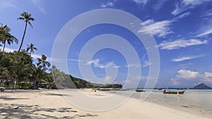 Tropical beach with palm trees in Phi Phi Don Island in Krabi, Thailand