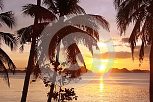 Tropical beach with palm trees at sunset, El Nido, Palawan island, the Philippines