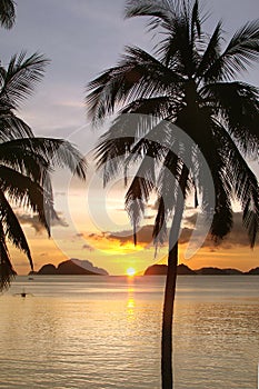 Tropical beach with palm trees at sunset, El Nido, Palawan island, the Philippines