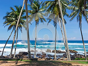 Tropical beach with palm trees. Turquoise sea. A powerful wave with splashes and foam breaks on a rocky shore. Sri Lanka