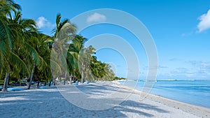 Tropical beach with palm trees and white sand blue ocean and beach beds with umbrella,Sun chairs and parasol under a