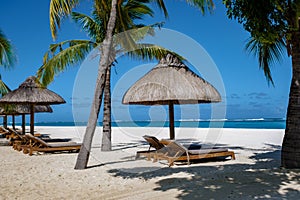 Tropical beach with palm trees and white sand blue ocean and beach beds with umbrella,Sun chairs and parasol under a