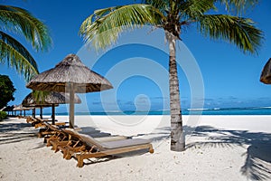 Tropical beach with palm trees and white sand blue ocean and beach beds with umbrella,Sun chairs and parasol under a