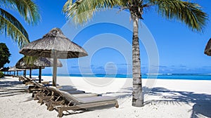 Tropical beach with palm trees and white sand blue ocean and beach beds with umbrella,Sun chairs and parasol under a