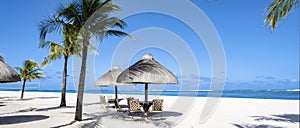 Tropical beach with palm trees and white sand blue ocean and beach beds with umbrella,Sun chairs and parasol under a